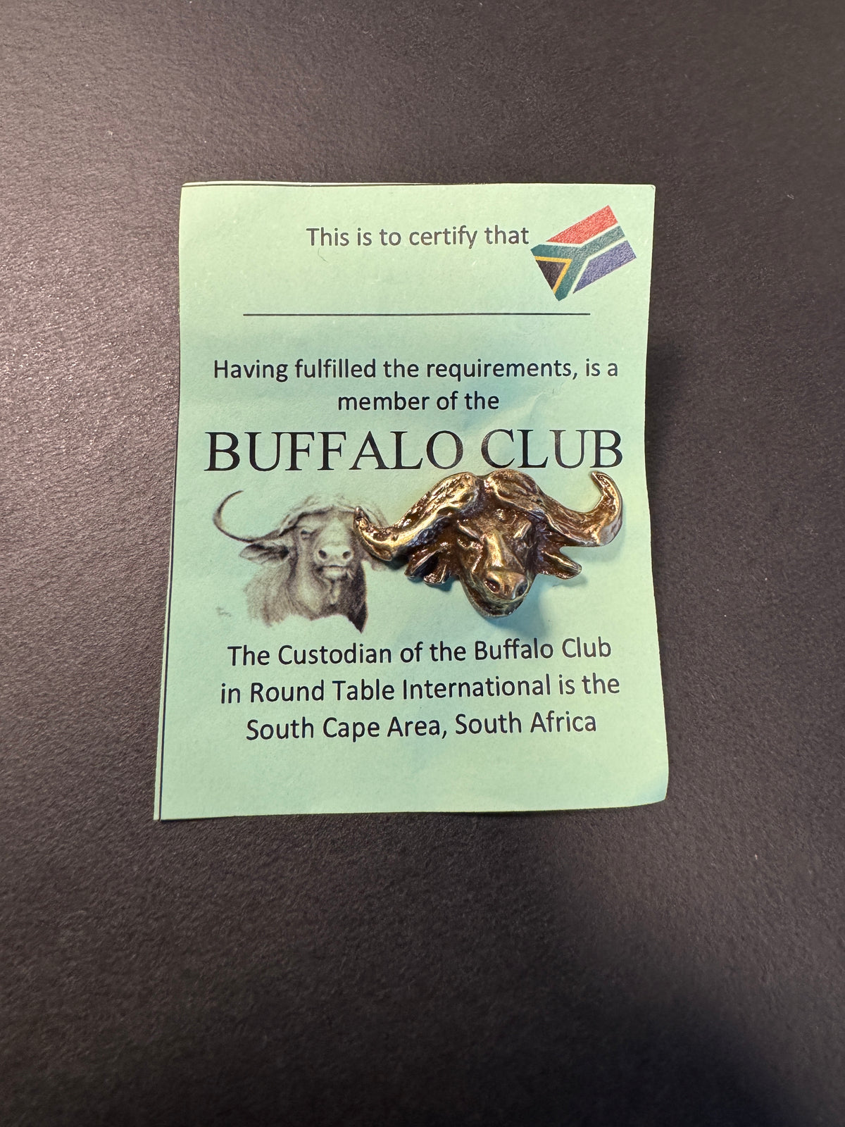 Buffalo Pin